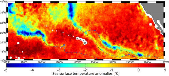 Hurricanes change temperature of sea surface