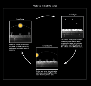 The water-ice cycle of a comet