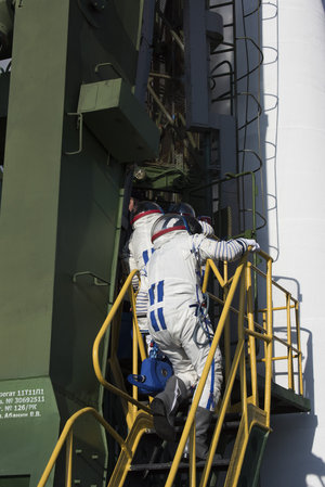Expedition 46-47 crew members climb the stairs to the Soyuz TMA-19M