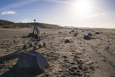 Rover on Katwijk beach