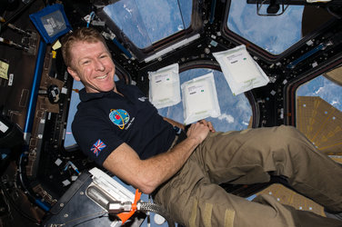 Timothy Peake with space seeds in the cupola