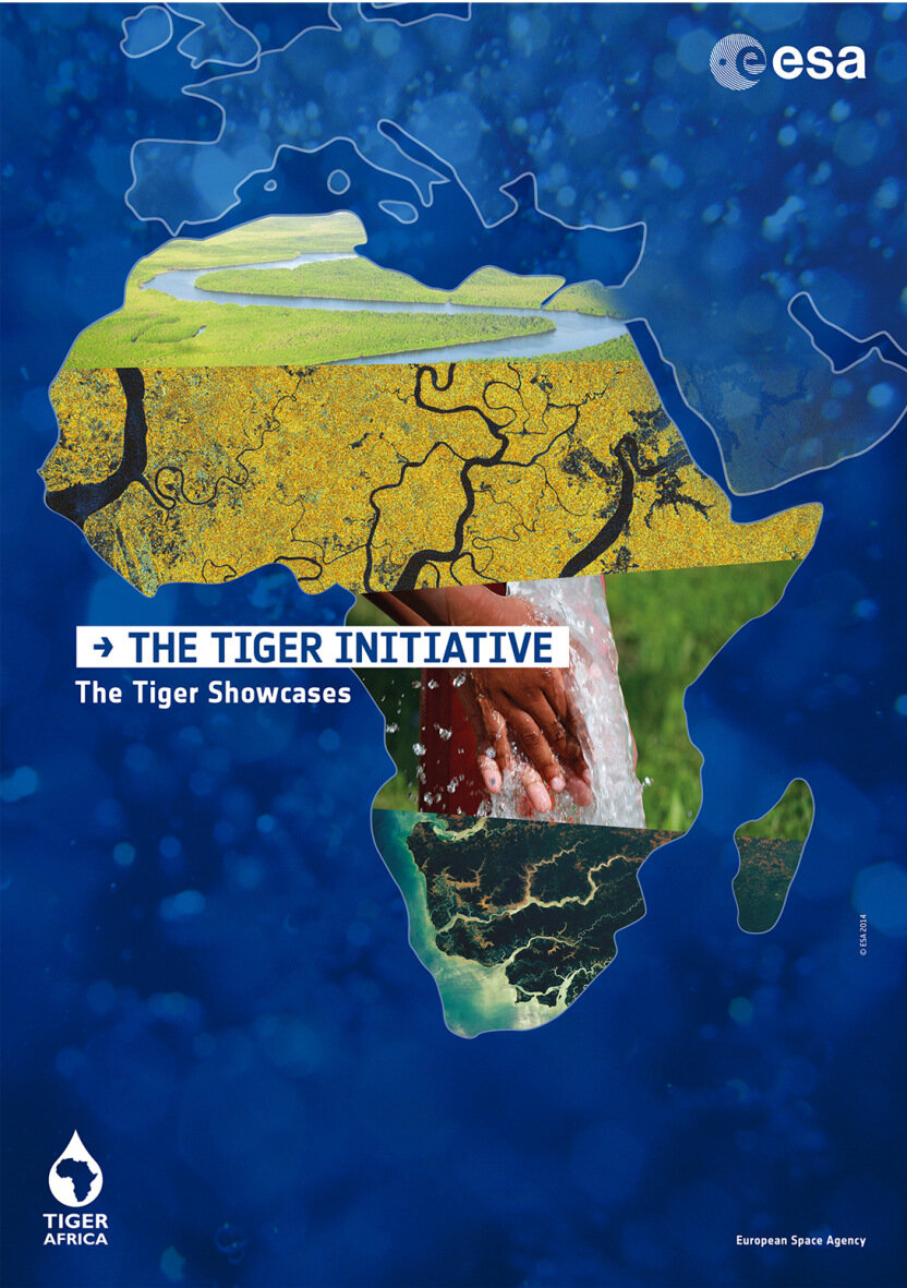Tiger Initiative