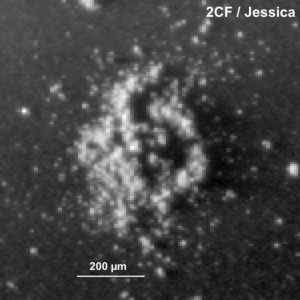 Comet dust – Jessica