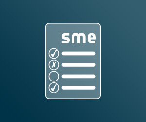 SME definition criteria icon