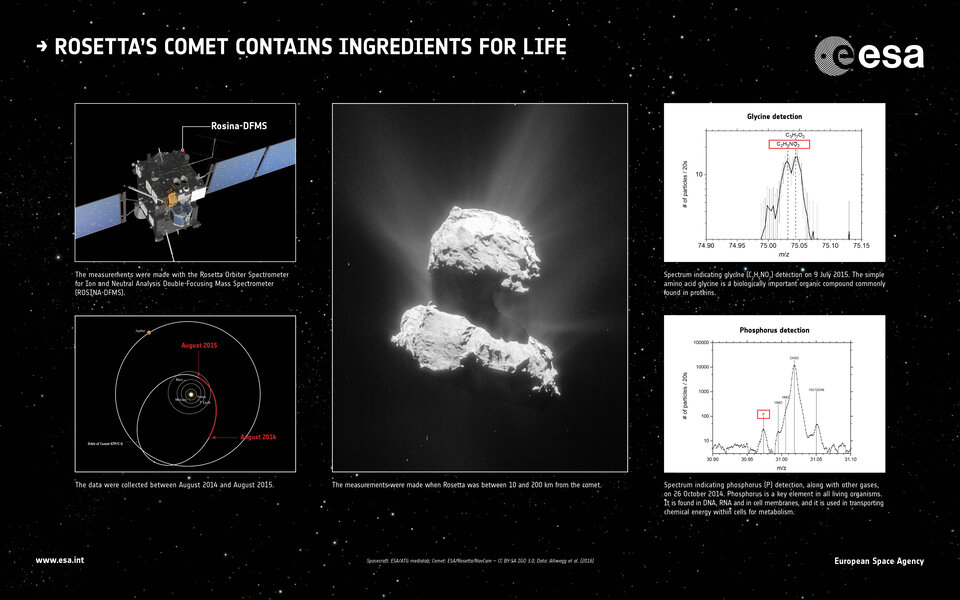 Comets carry ingredients for life