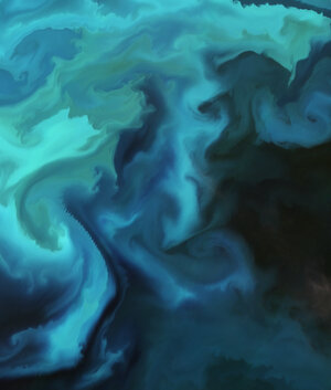 Plankton bloom in the Barents Sea