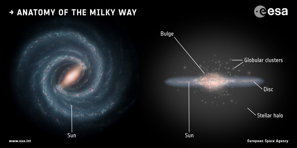 The components of the Milky Way