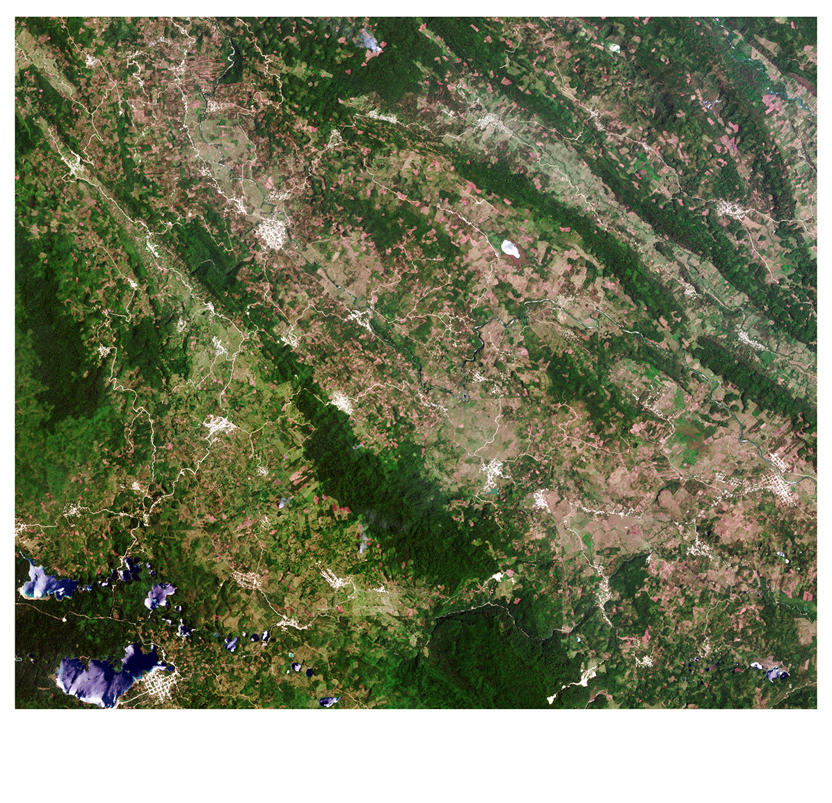 Chiapas forest land-cover map