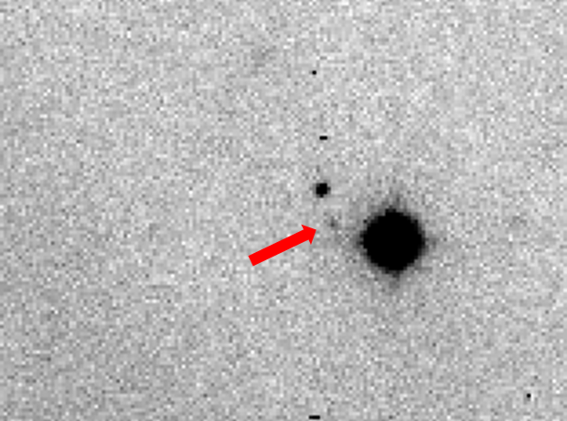 Asteroid 2016 WJ1