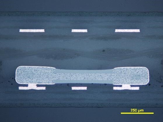 Multilayer ceramic chip capactior