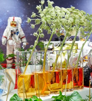 Agriculture in space