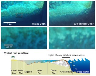 Sentinel-2 captures coral bleaching