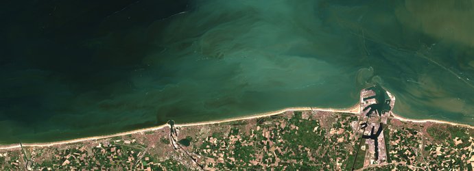 Algal bloom off Belgian coast