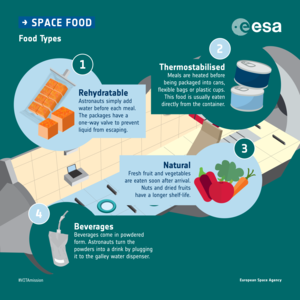 Types of food in space: infographic