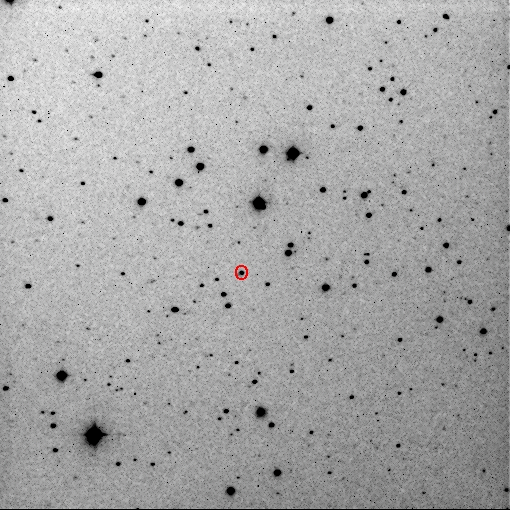 Asteroid 37627 Lucaparmitano