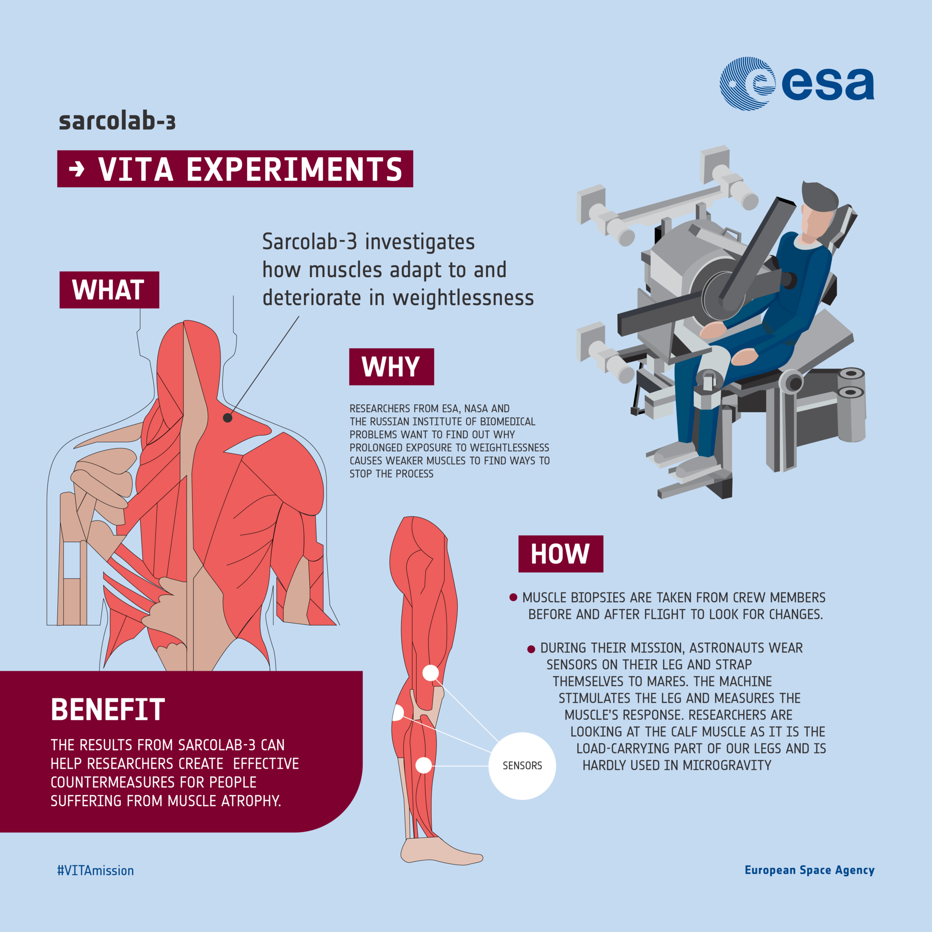 Sarcolab-3 experiment infographic