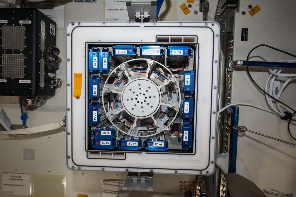 ESA's Kubik facility on the ISS
