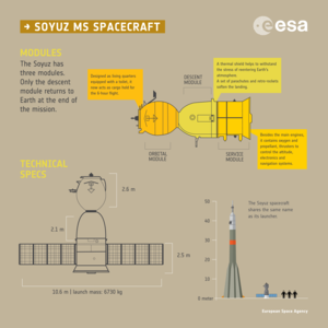 Soyuz MS spacecraft infographic - Modules and Specs
