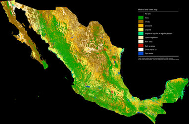Mapping Mexico’s land cover