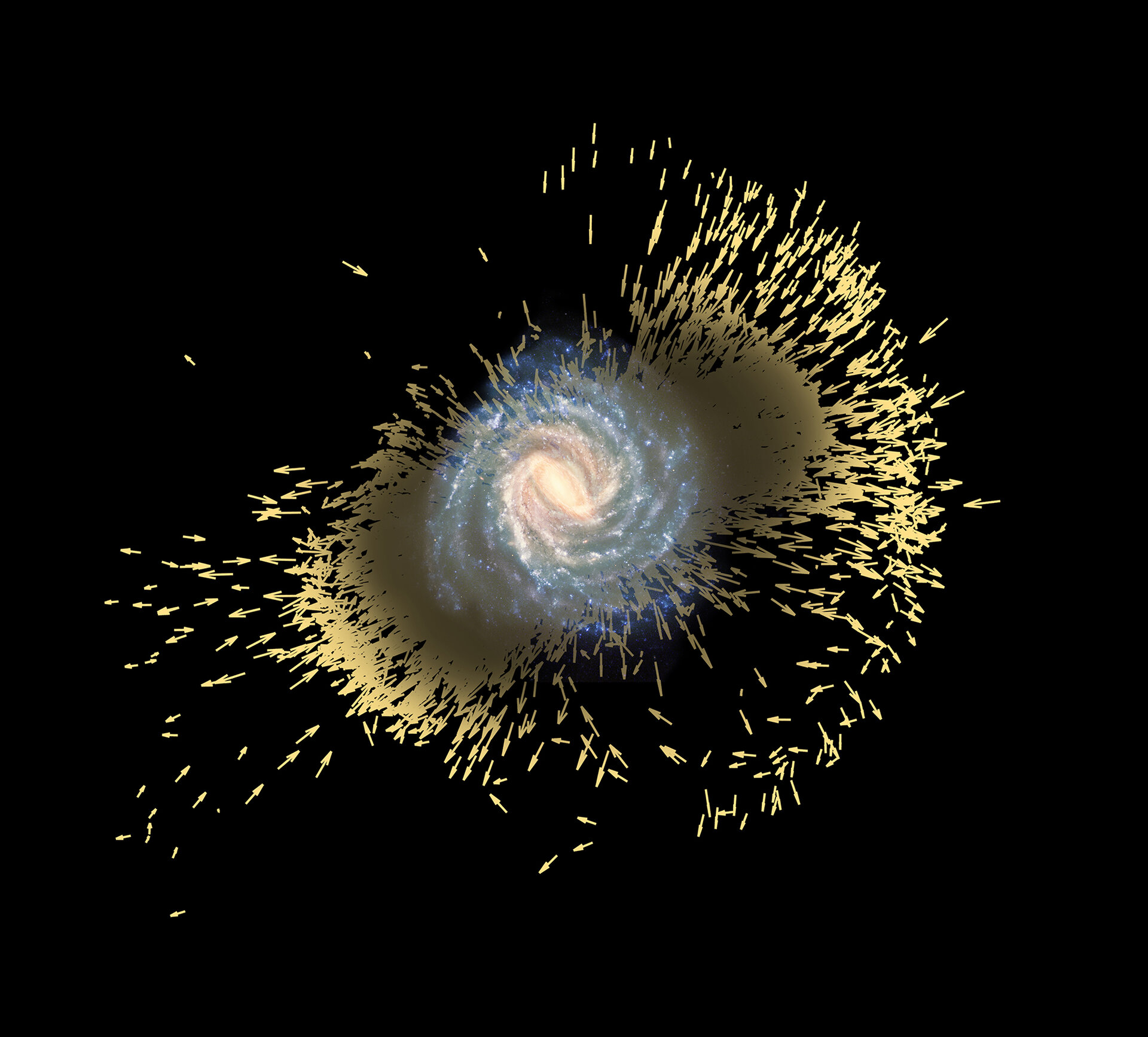 Stellar debris of galactic merger in the Milky Way