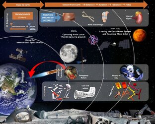 3D bioprinting for space