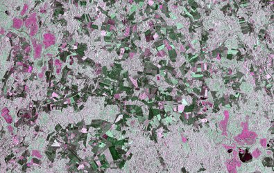 Crop mapping in Estonia