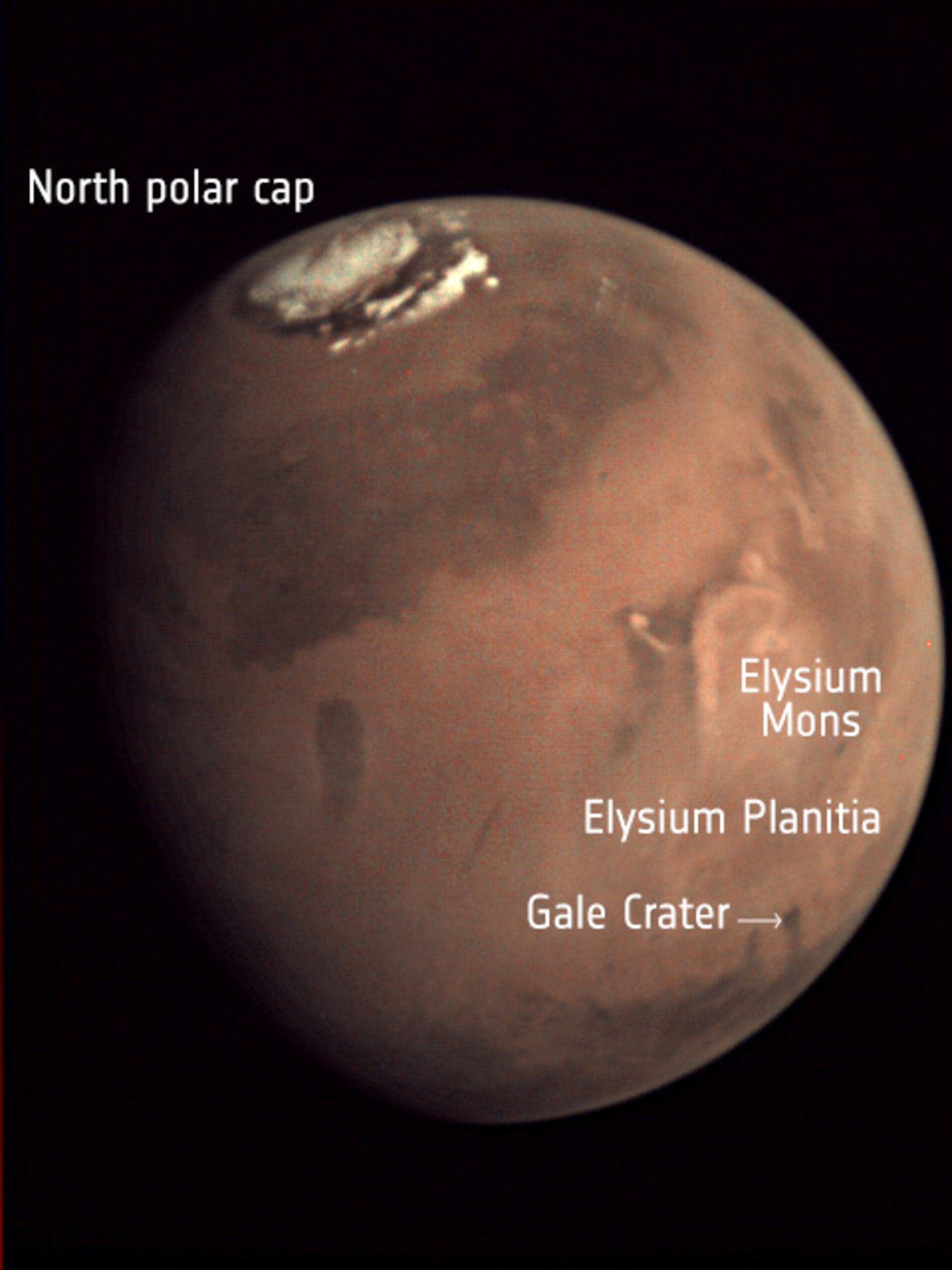 Elysium Planitia – labelled view