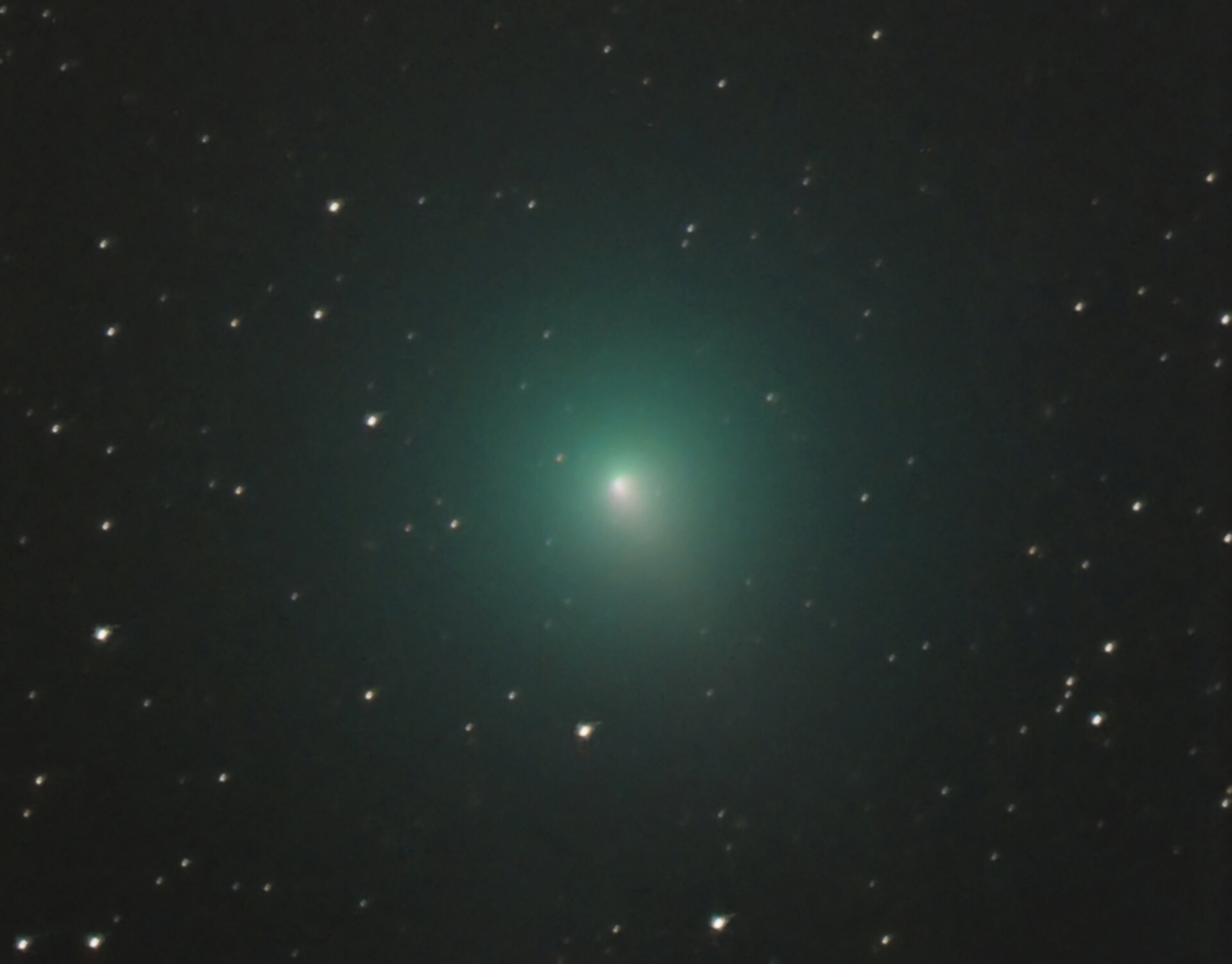 Comet 46P/Wirtanen from La Palma