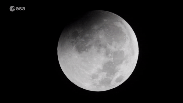 Lunar eclipse – 21 January 2019