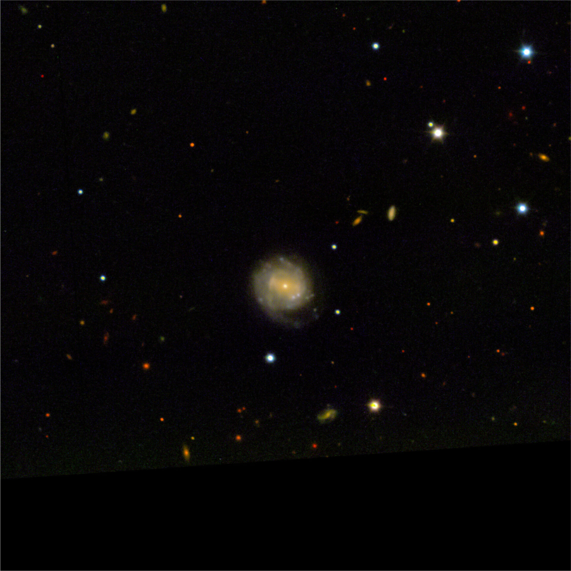 Supernova host galaxy