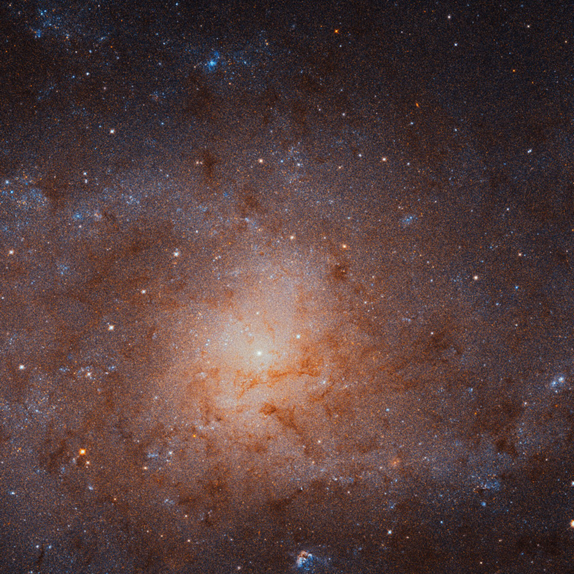 The sharpest view ever of the Triangulum Galaxy