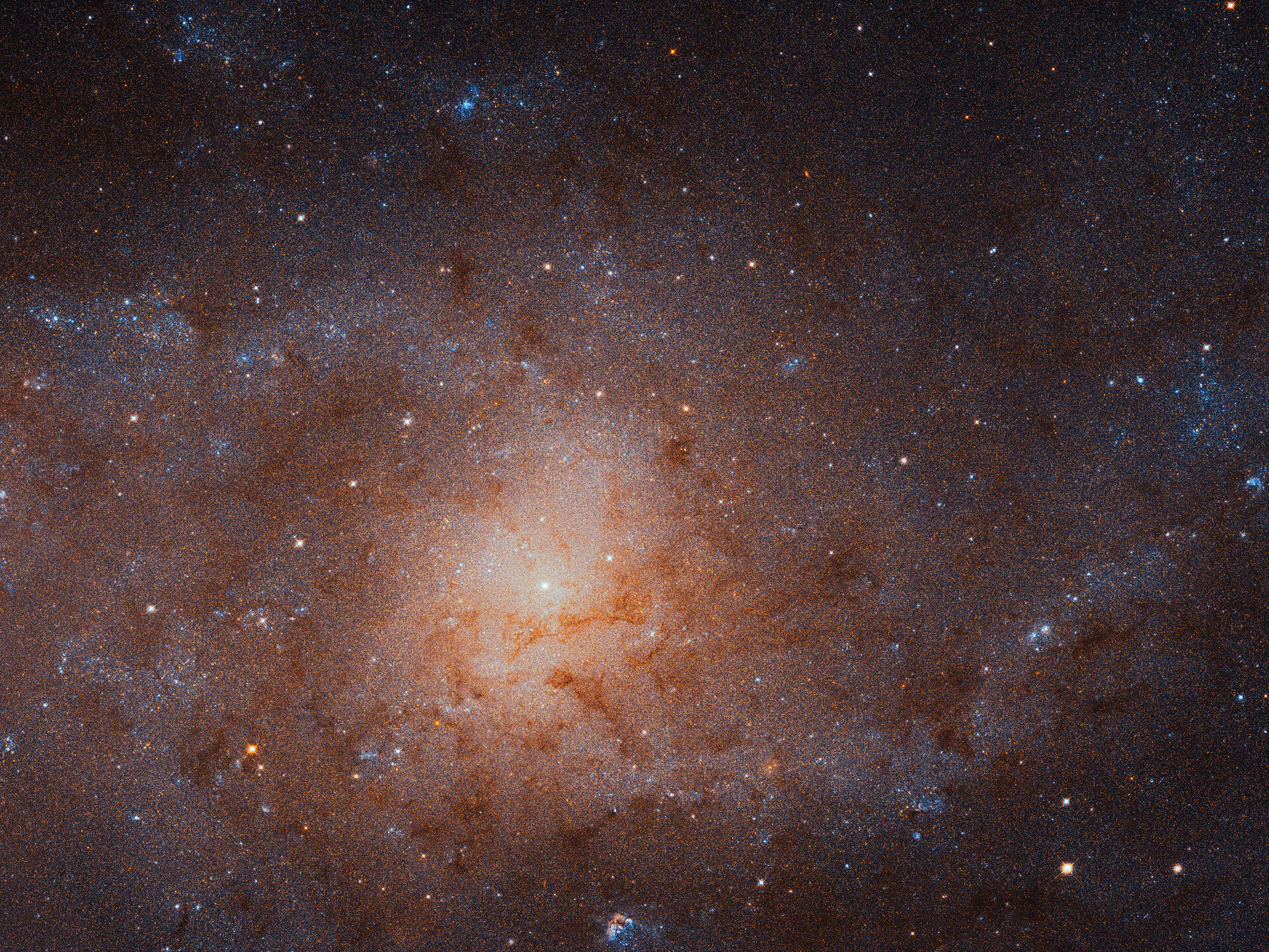 The sharpest view ever of the Triangulum Galaxy