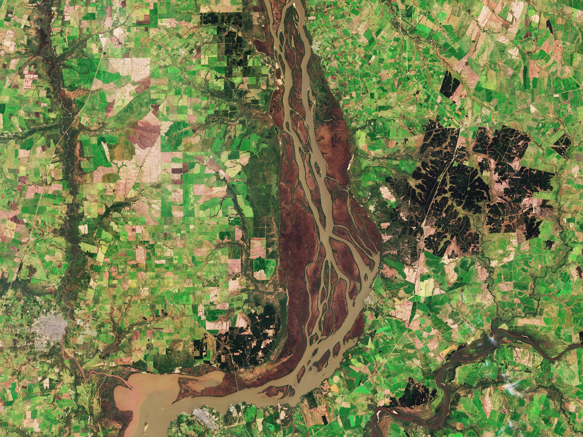 Uruguay River wetlands