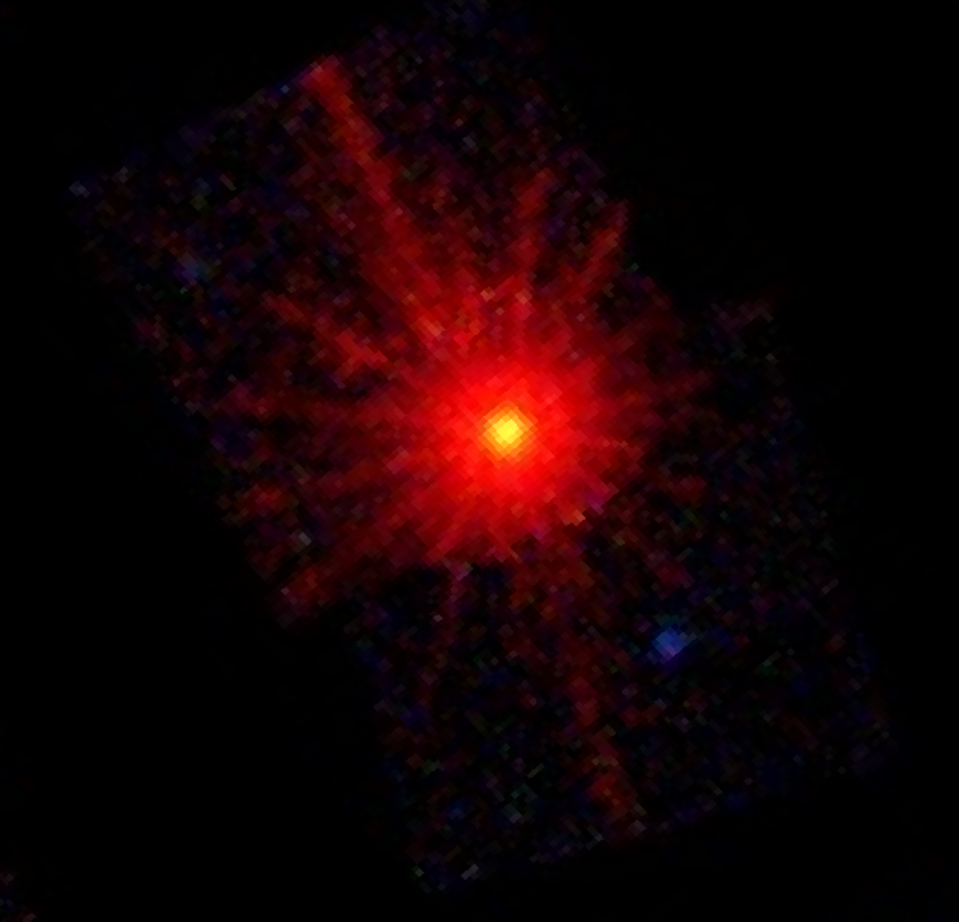 XMM-Newton's view of star-shredding black hole