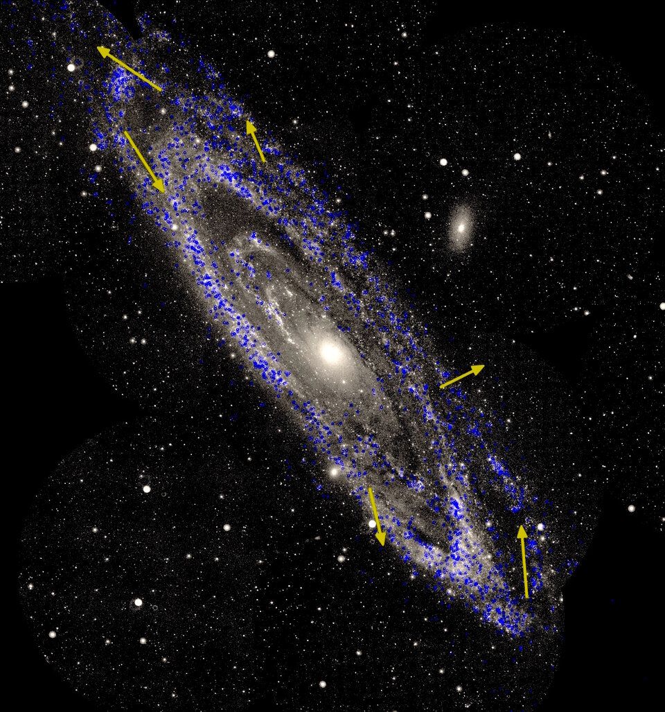 Stellar motions in Andromeda