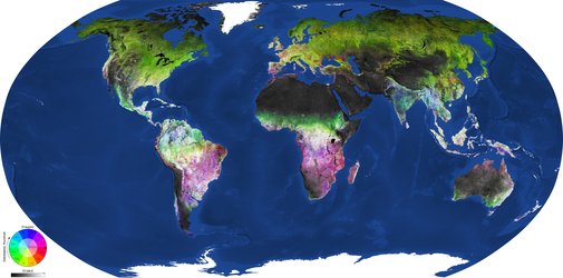 Global map of land-cover dynamics