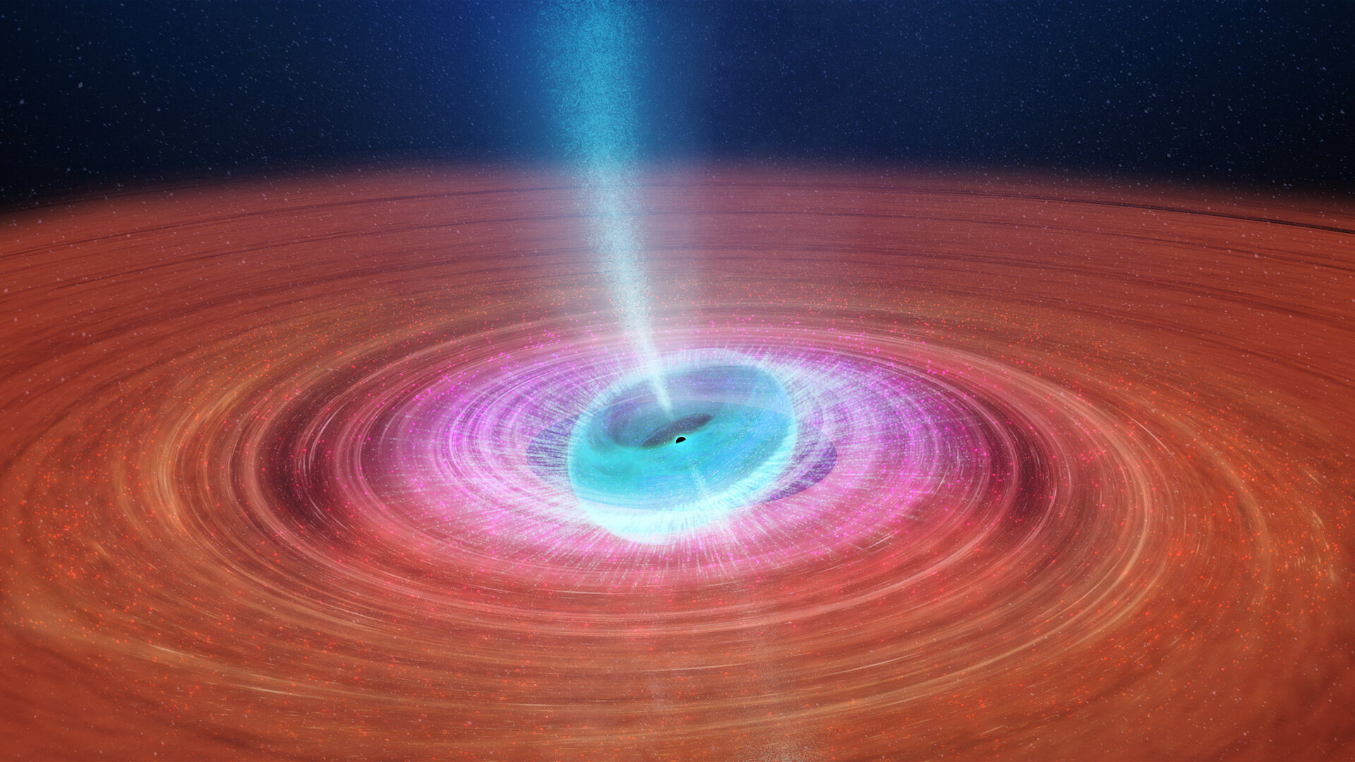 Tilted black hole accretion disc