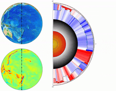 Density variations in the crust and upper mantle