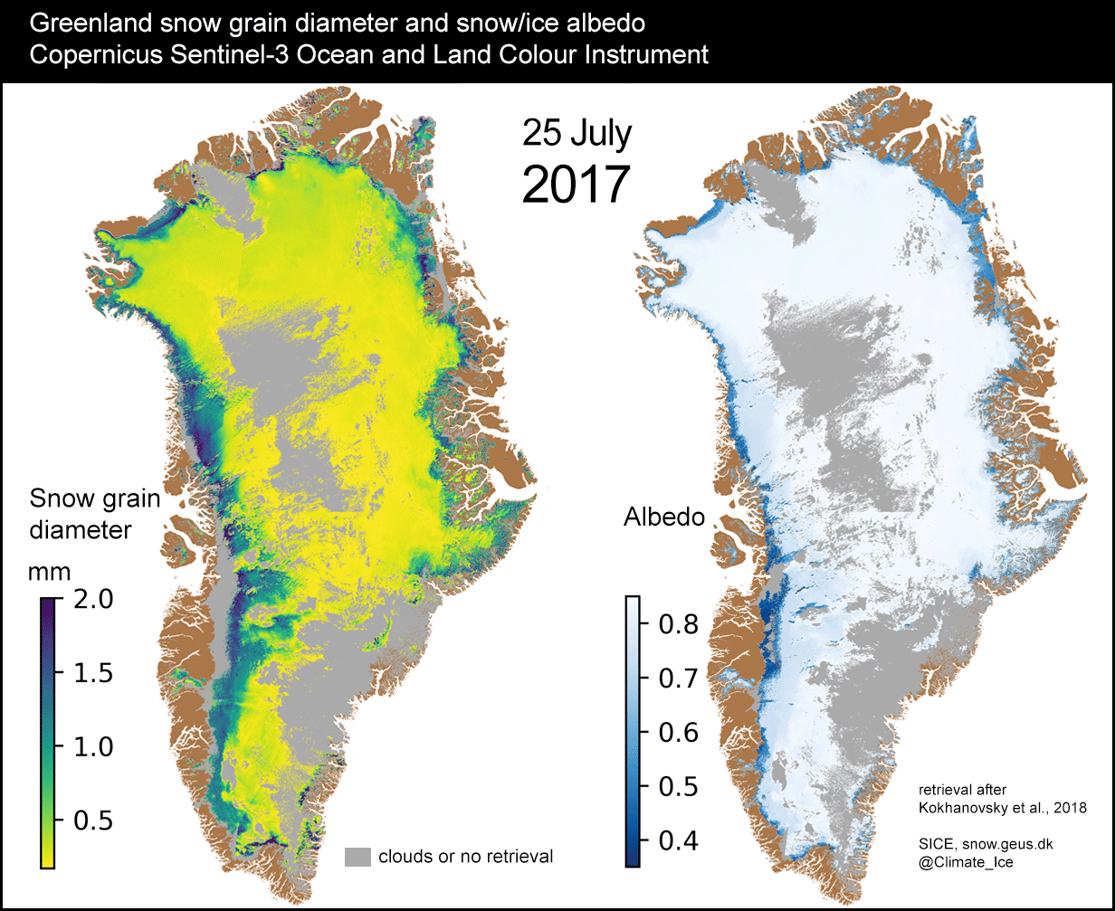 Greenland snow grain and albedo