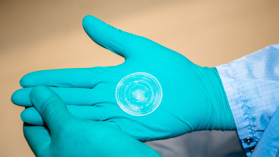Bioprinted skin sample