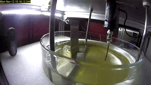 What looks like jelly is actually water at 20 times Earth gravity 