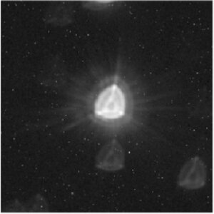 Cheops image of star HD 88111