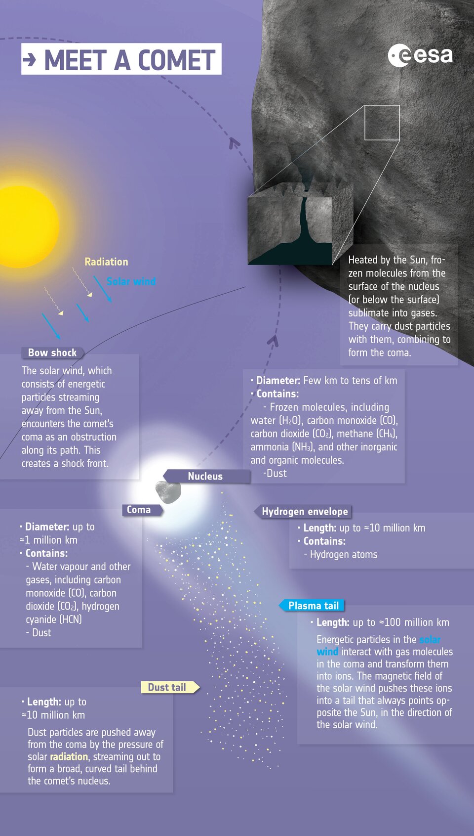 Anatomy of a comet: infographic