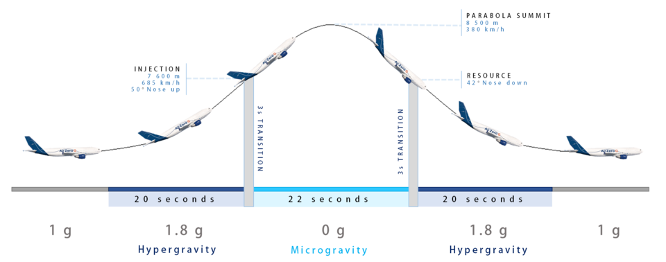 The different gravity phases during a parabola