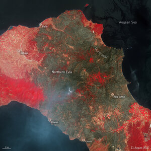 Parts of the Mediterranean and central Europe have experienced extreme temperatures this summer, with wildfires causing devastation on the Greek island of Evia. This Copernicus Sentinel-2 image shows the extent of the burned area in the northern part of the island.