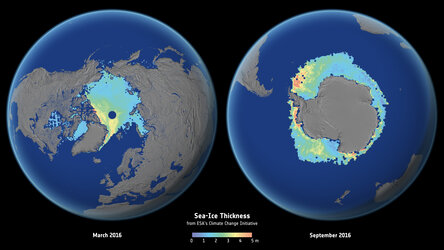 Arctic and Antarctic sea-ice thickness