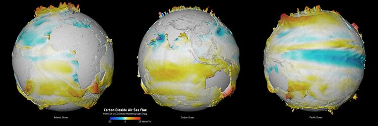 Carbon dioxide ocean–atmosphere exchange 