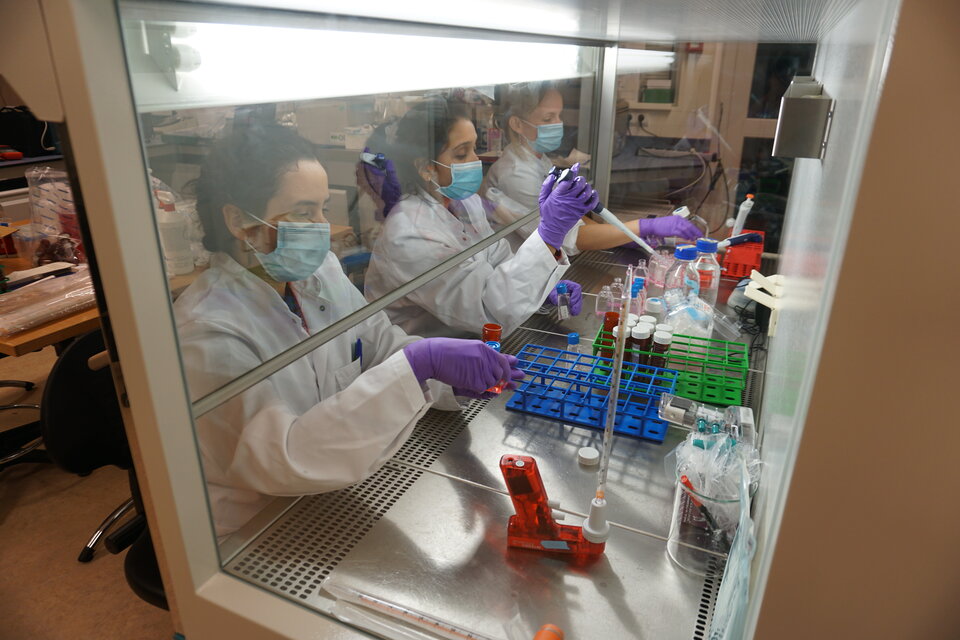 Team FORTE working long hours into the night preparing their cell samples
