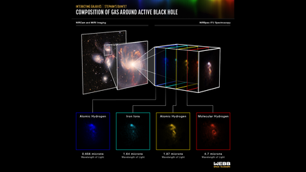 Composition of gas around active black hole (NIRSpec IFU)
