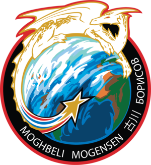 The mission patch for Crew-7